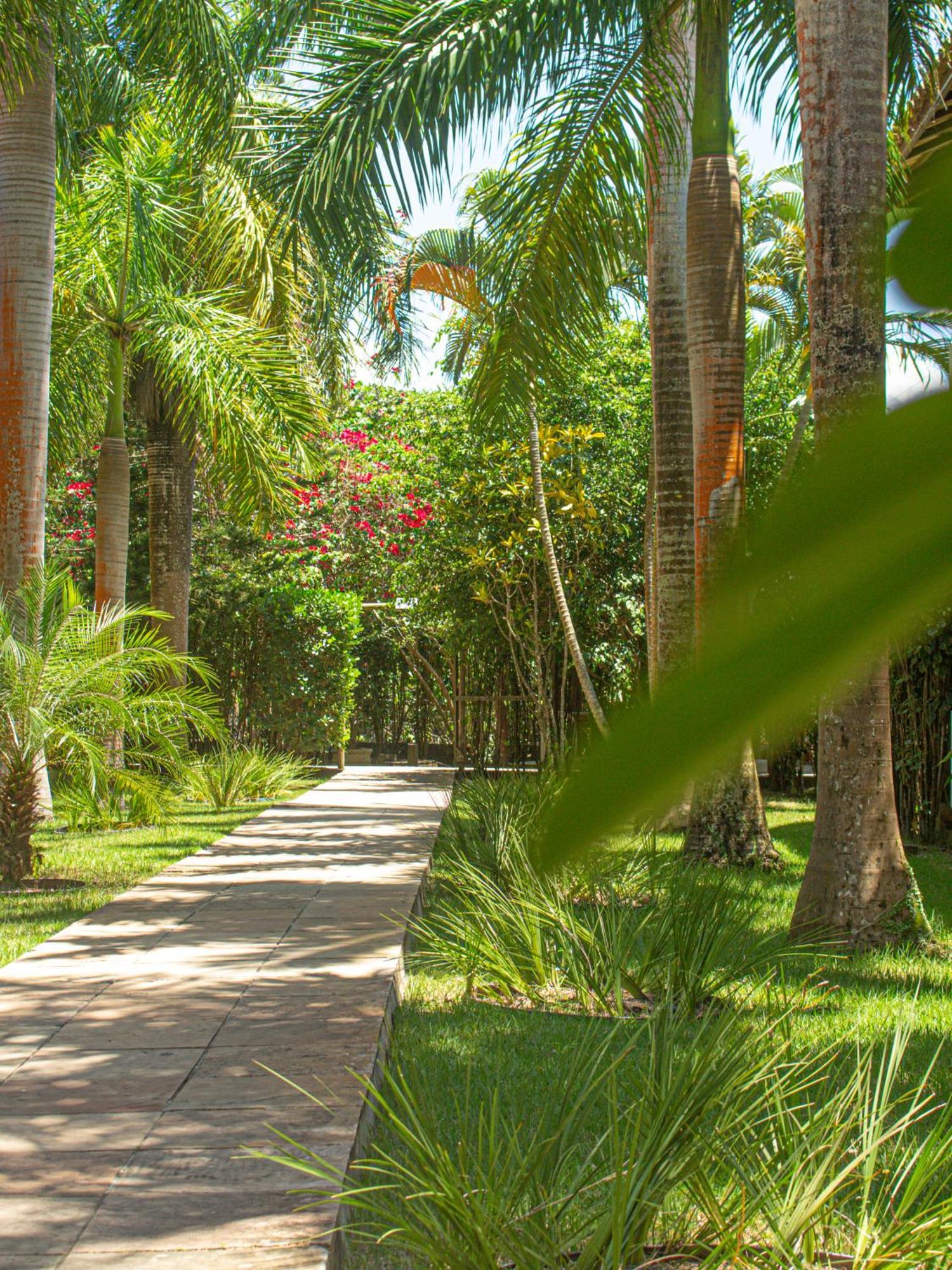 Sunshine Praia Hotel Porto Seguro Luaran gambar